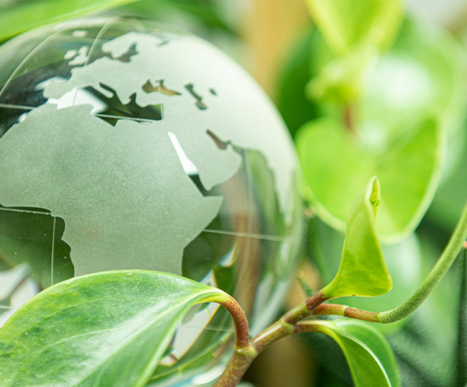 Globo di vetro tra le foglie: l'attenzione di CMT per l'ambiente